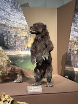 特別展「氷河期展 〜人類が見た4万年前の世界〜」（国立科学博物館）に投稿された画像（2025/8/25）
