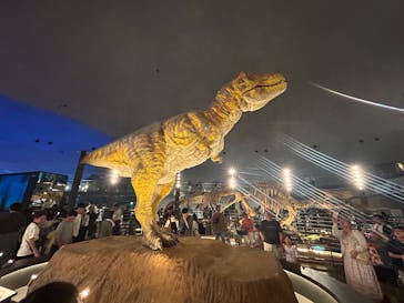 福井県立恐竜博物館に投稿された画像（2025/8/25）
