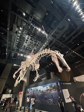 福井県立恐竜博物館に投稿された画像（2025/8/25）