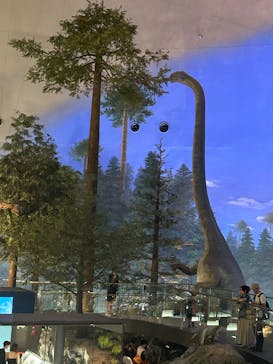 福井県立恐竜博物館に投稿された画像（2025/8/25）