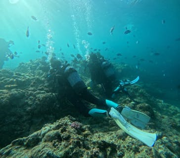 武藤潜水に投稿された画像（2025/8/25）
