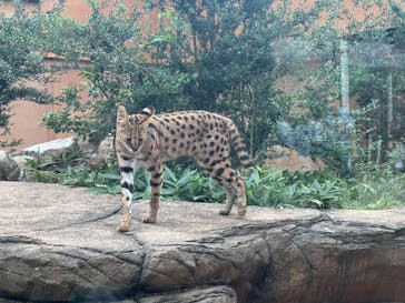 那須どうぶつ王国に投稿された画像（2025/8/25）