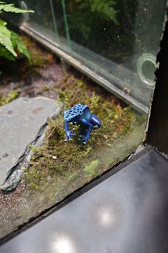 サンシャイン水族館に投稿された画像（2025/8/25）