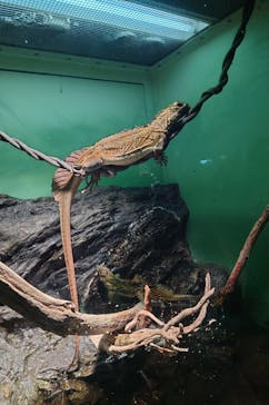 サンシャイン水族館に投稿された画像（2025/8/25）