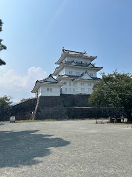 小田原城に投稿された画像（2025/8/25）