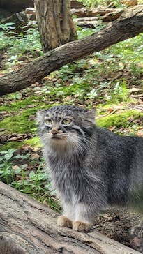 那須どうぶつ王国に投稿された画像（2025/8/25）