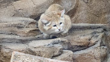 那須どうぶつ王国に投稿された画像（2025/8/25）