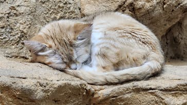 那須どうぶつ王国に投稿された画像（2025/8/25）