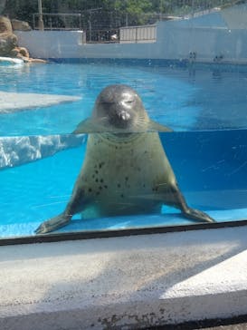 越前松島水族館に投稿された画像（2025/8/25）