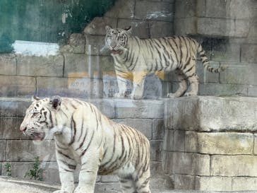 東武動物公園に投稿された画像（2025/8/25）