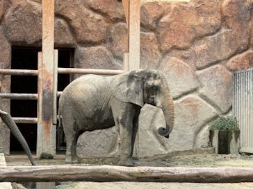 東武動物公園に投稿された画像（2025/8/25）