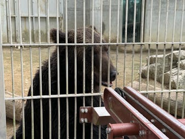 東武動物公園に投稿された画像（2025/8/25）