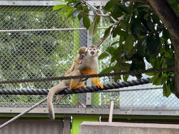東武動物公園に投稿された画像（2025/8/25）