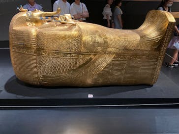 MYSTERY OF TUTANKHAMEN 体感型古代エジプト展に投稿された画像（2025/8/25）