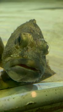 名古屋港水族館に投稿された画像（2025/8/25）