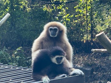 伊豆シャボテン動物公園に投稿された画像（2025/8/25）