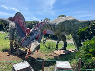 伊豆ぐらんぱる公園に投稿された画像（2025/8/25）