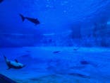 名古屋港水族館に投稿された画像（2025/8/25）