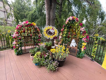 ムーミンバレーパークに投稿された画像（2025/8/25）