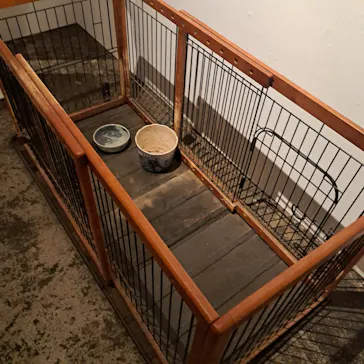 行方不明展　大阪に投稿された画像（2025/8/25）