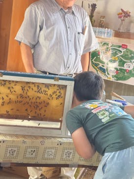 牧歌の里に投稿された画像（2025/8/25）