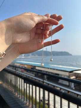 新江ノ島水族館に投稿された画像（2025/8/25）