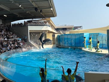 新江ノ島水族館に投稿された画像（2025/8/25）