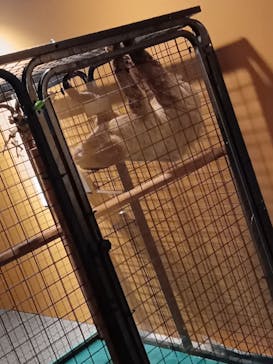 リトルモンスター展～「うゎっ」と「ぅわぁ～」のいきものたち～ @新潟県立自然科学館に投稿された画像（2025/8/25）