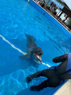 南知多ビーチランド＆南知多おもちゃ王国に投稿された画像（2025/8/25）