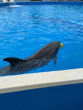 南知多ビーチランド＆南知多おもちゃ王国に投稿された画像（2025/8/25）