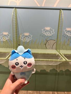 ちいかわパークに投稿された画像（2025/8/25）