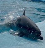 南知多ビーチランド＆南知多おもちゃ王国に投稿された画像（2025/8/25）