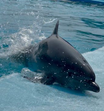 南知多ビーチランド＆南知多おもちゃ王国に投稿された画像（2025/8/25）