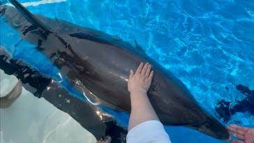 南知多ビーチランド＆南知多おもちゃ王国に投稿された画像（2025/8/25）