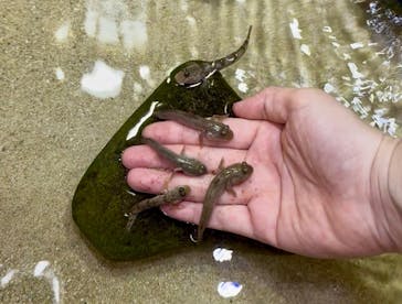 南知多ビーチランド＆南知多おもちゃ王国に投稿された画像（2025/8/25）