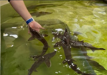 南知多ビーチランド＆南知多おもちゃ王国に投稿された画像（2025/8/25）