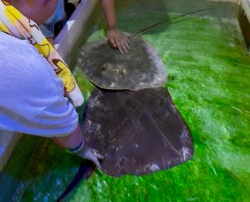 南知多ビーチランド＆南知多おもちゃ王国に投稿された画像（2025/8/25）