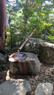 足立美術館に投稿された画像（2025/8/25）