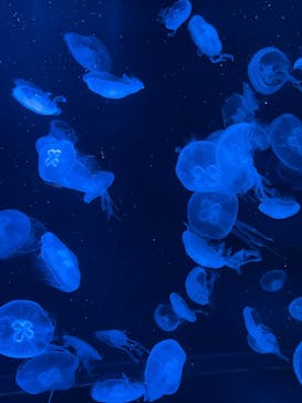 AOAO SAPPOROに投稿された画像（2025/8/25）