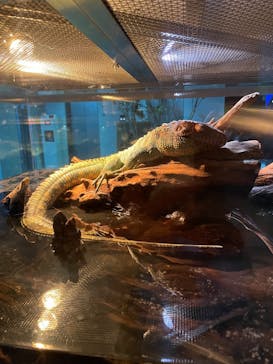 AOAO SAPPOROに投稿された画像（2025/8/25）