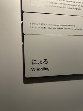 AOAO SAPPOROに投稿された画像（2025/8/25）