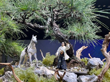 スマートアクアリウム静岡に投稿された画像（2025/8/25）