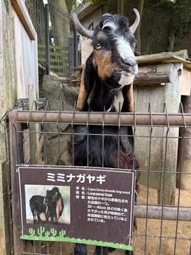 伊豆シャボテン動物公園に投稿された画像（2025/8/25）