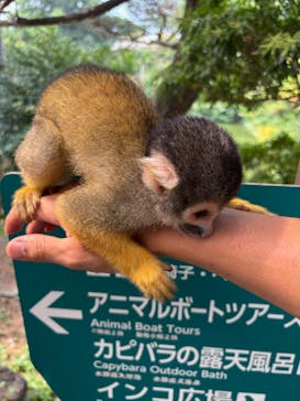伊豆シャボテン動物公園に投稿された画像（2025/8/25）
