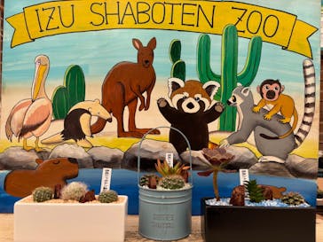 伊豆シャボテン動物公園に投稿された画像（2025/8/25）