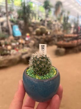 伊豆シャボテン動物公園に投稿された画像（2025/8/25）