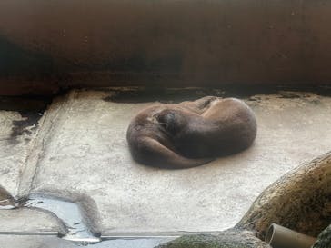 箱根園水族館に投稿された画像（2025/8/25）