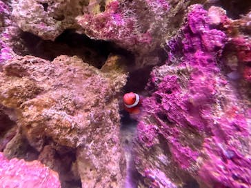 箱根園水族館に投稿された画像（2025/8/25）