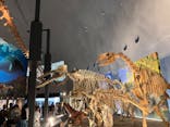 福井県立恐竜博物館に投稿された画像（2025/8/26）