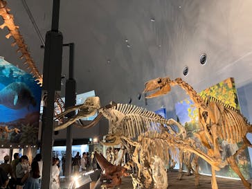 福井県立恐竜博物館に投稿された画像（2025/8/25）